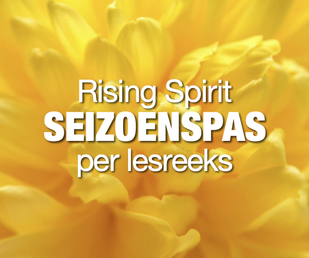 ​Tai Chi Vorm TC2 - MAANDAG 9:30-11:30