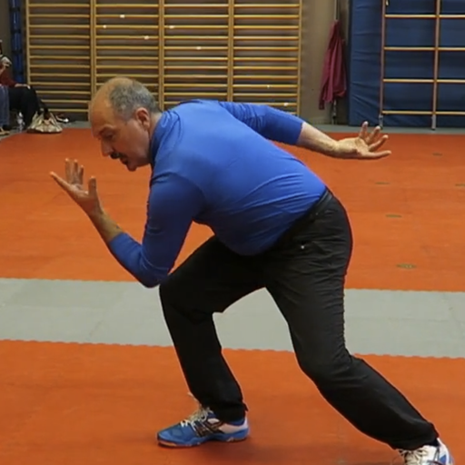 Bagua hand